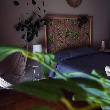 Amaca In Un Meraviglioso Appartamento A Torino Exteriér fotografie